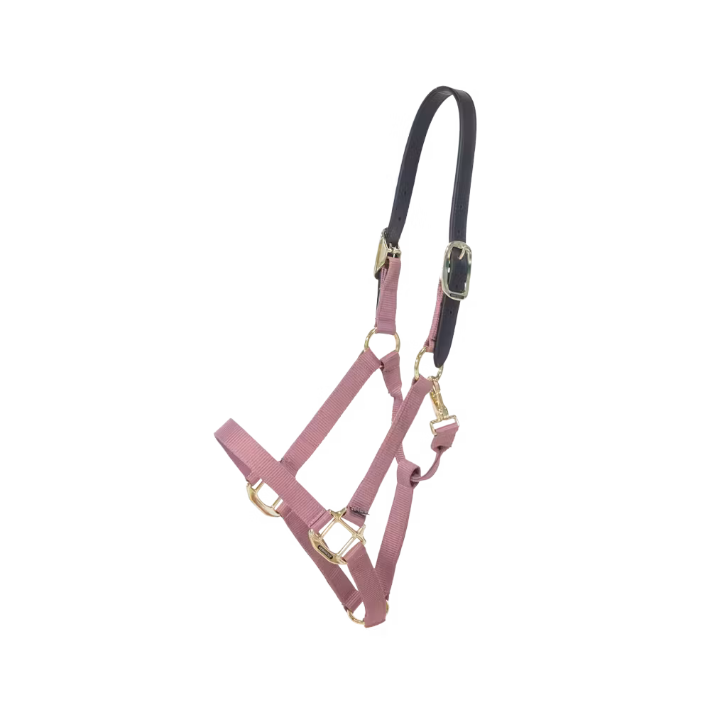 Licol en Nylon Breakaway Prix Choc