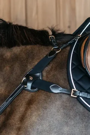Achat Immédiat Pad de Protection pour Collier de Chasse 5 points
