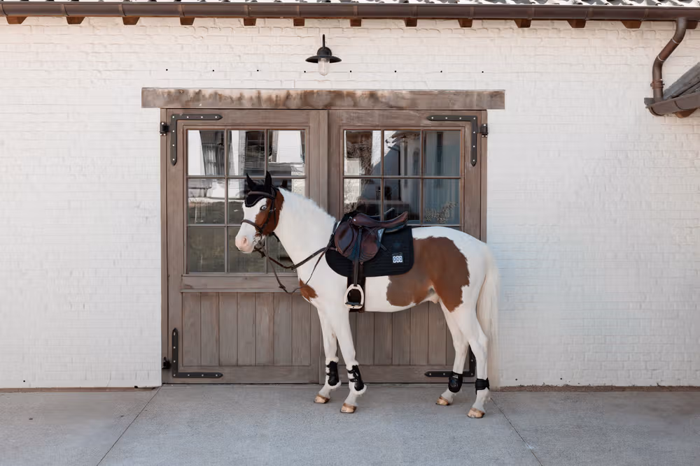Vente Flash Black Pearls Jumping Competition Look
