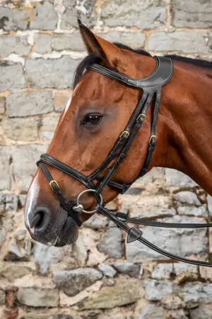 Offre Spéciale Tétière pour bridon Différence avec frontal