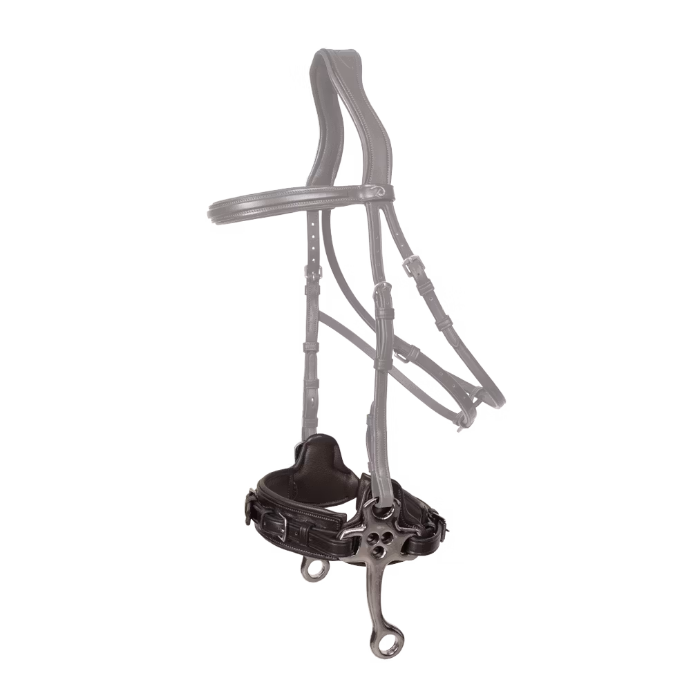 Hackamore NE Soldes