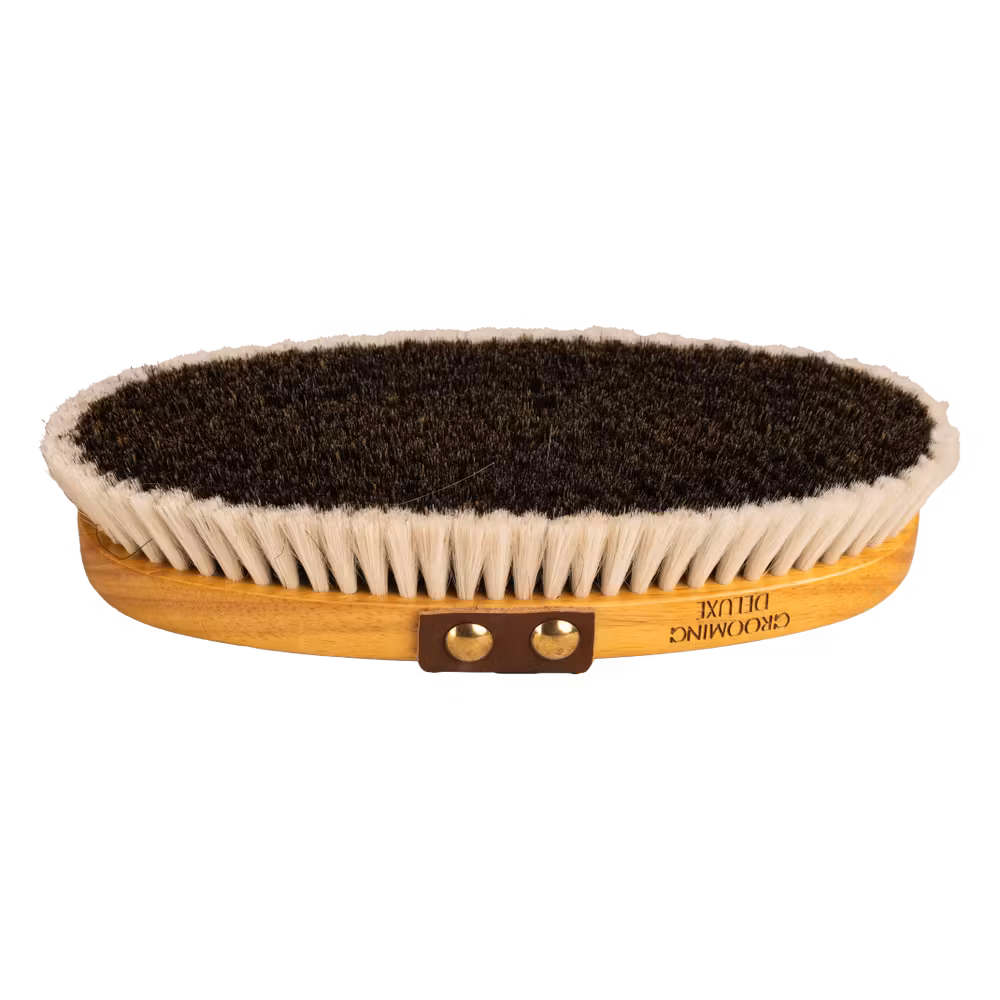 Brosse de Pansage Shine Medium Réduction