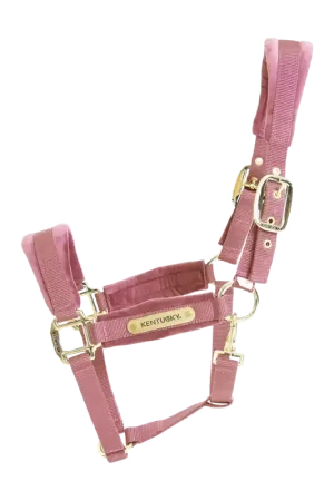 Licol Velvet Prix Bas