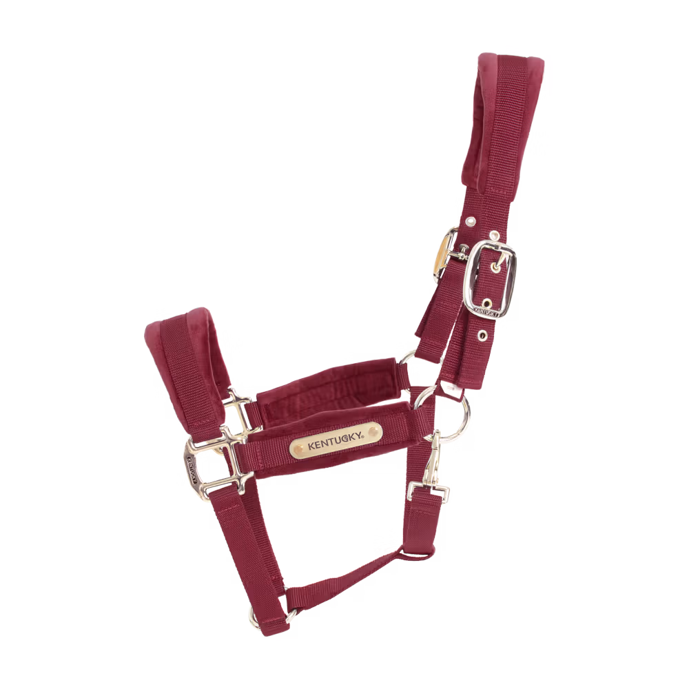 Licol Velvet Commander Vite