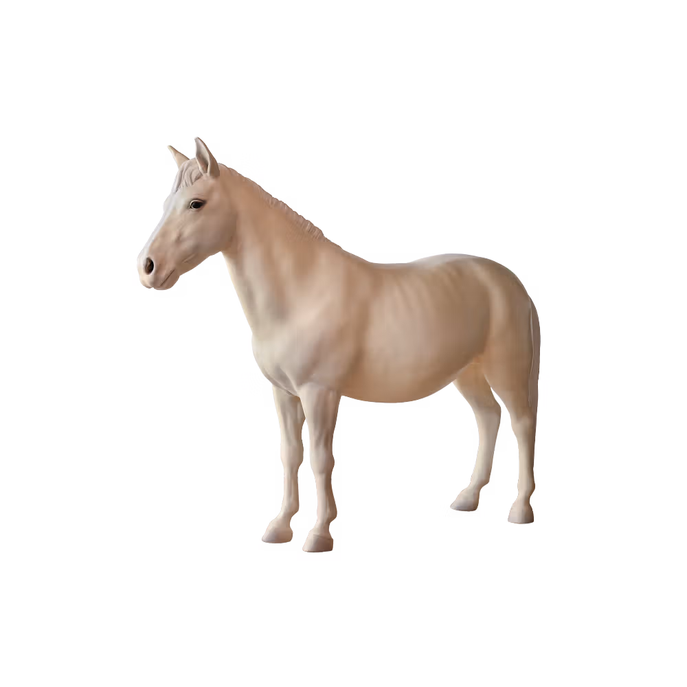 Mannequin poney Sammy Nouveauté