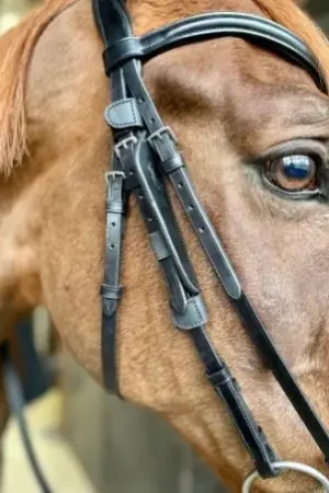 Solde Oeillères "BLINKERS" de PENELOPE