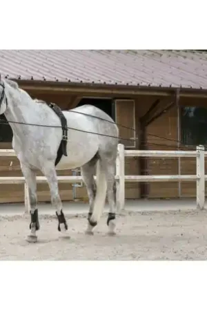 Bon Plan Longues rênes RIDING WORLD cuir/corde