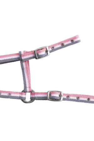 Licol foal NORTON réglable Meilleur Prix