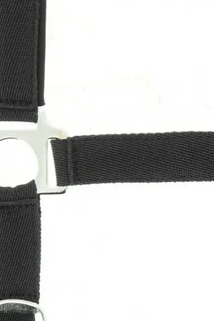 Populaire Licol NORTON nylon, doublé néoprène