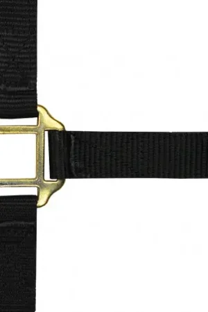 Paiement Sécurisé Licol nylon NORTON doublé cuir