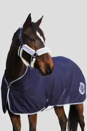 Vente Flash Chemise HARCOUR " RATINI " Spring 23