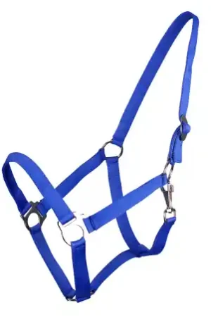 Acheter Direct Licol Avec Glissière