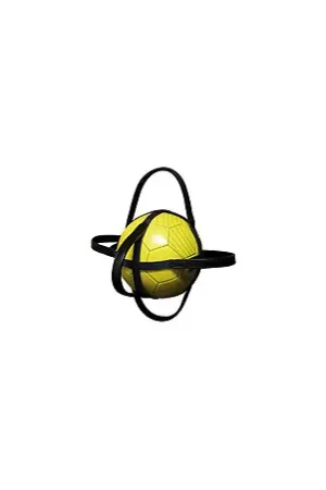 Enveloppe NORTON pour ballon de Horse-Ball Commande En Gros