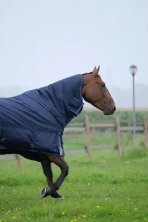 Vente Flash Couverture Equithème " tirex 1680D "