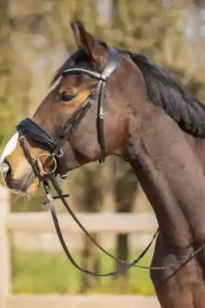 Bridon Skye Meilleure Vente
