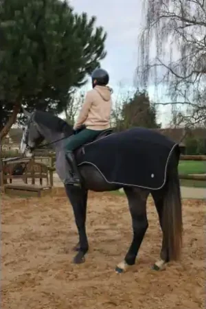 Couvre - Reins Pro - Confort " Luna " 3 En 1 Achetez Aujourd'hui