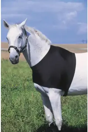 Protection d'épaules EQUITHÈME Livraison Express