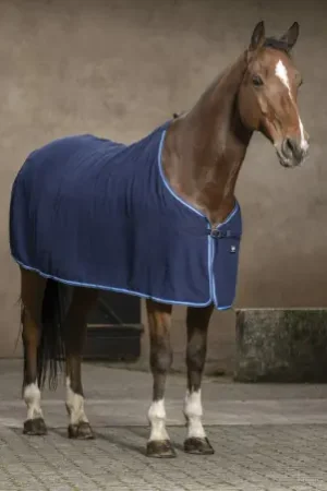 Chemise RIDING WORLD "Éponge" Offre Exclusive
