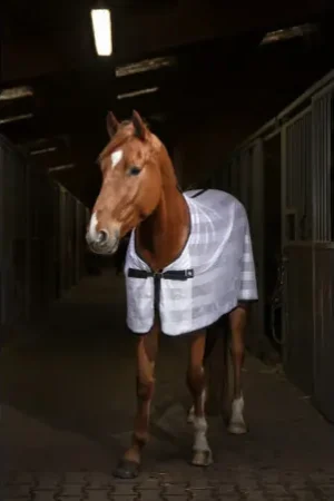 Petit Prix Chemise EQUITHÈME "Mesh"