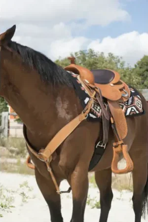 Collier de chasse WESTRIDE by Franck Perret "Billy" Haute Qualité