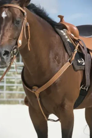 Acheter Direct Collier de chasse WESTRIDE by Franck Perret "Aurora"
