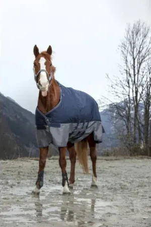 Prix Bas Couverture EQUITHÈME "TYREX 600 D" Belly belt