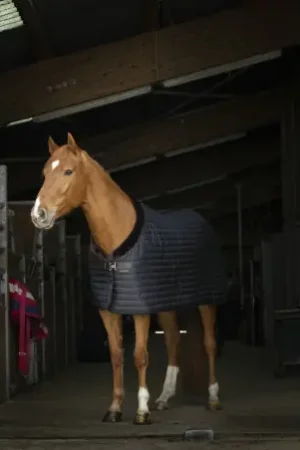 Couverture d'écurie EQUITHÈME "Teddy", doublée mouton synthétique Top Vente