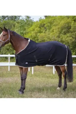 Meilleur Prix Chemise polaire EQUITHÈME "Polyfun"