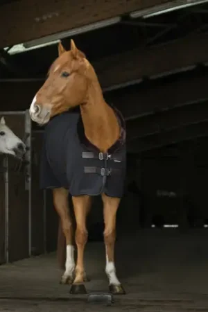 Chemise polaire EQUITHÈME "Teddy" Offre Du Jour