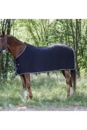 Chemise polaire RIDING WORLD Expédition Rapide