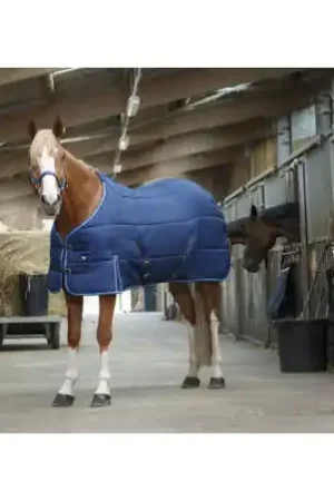 Couverture d'écurie RIDING WORLD Certifié