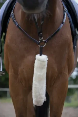 Fourreau de collier de chasse EQUITHÈME "Teddy" Petit Prix