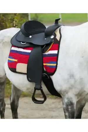 Super Prix Selle western WINTEC synthétique