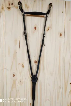 Super Prix Collier de chasse portugais