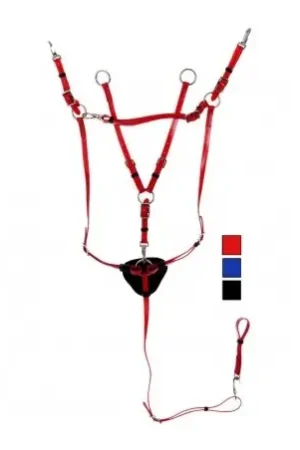 Collier de chasse / martingale DASLO Nouvel Arrivage