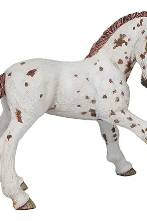 Meilleure Vente Poulain Appaloosa PAPO