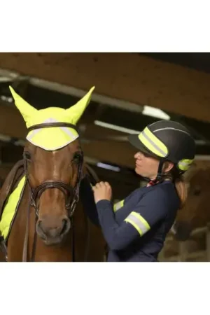 Commander Vite Brassard EQUITHÈME "High Visibility"