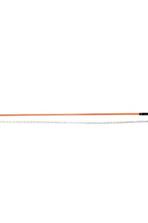 Achat Immédiat Stick éthologique WHIP & GO