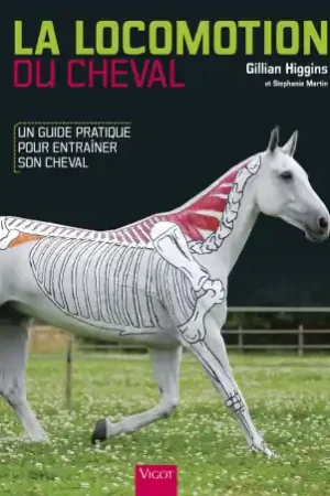 Meilleur Prix La Locomotion du Cheval