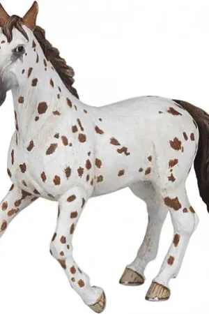 Jument Appaloosa PAPO Offre Limitée