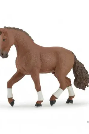 Cheval Hanovrien Alezan PAPO Nouvel Arrivage