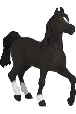 Cheval Arabe PAPO Meilleur Prix