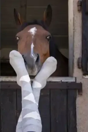 Chaussettes EQUITHÈME "Girly" Promotion Saisonnière