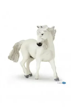 Camargue PAPO Commande En Gros