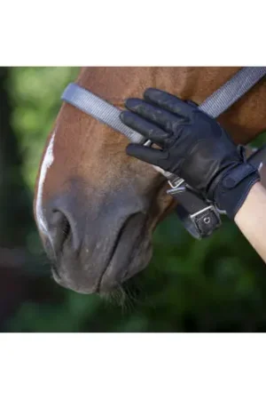 Gants EQUITHÈME "Soft cuir" Offre Limitée