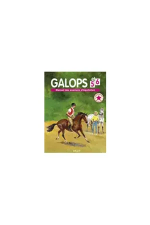 Offre Du Jour Galops 5 et 6