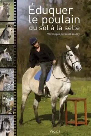 Éduquer le poulain du sol à la selle Bon Plan