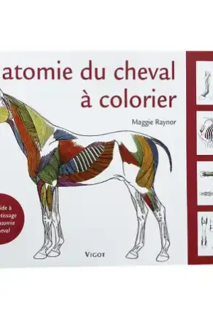 Expédié Aujourd'hui Anatomie du cheval à colorier