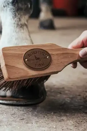 Brosse à Sabot Borstiq " Islandaise " Vente Directe
