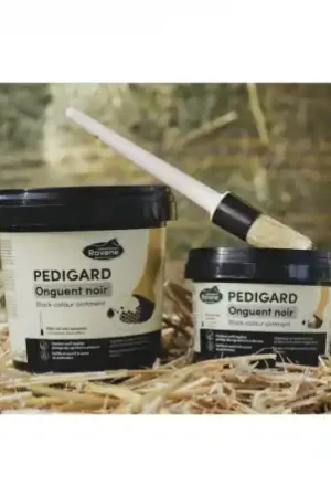 Pediguard Onguent Noir Ravene Commander Maintenant
